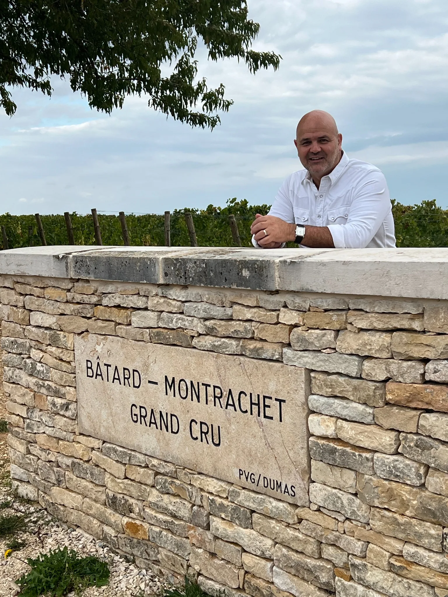 Gustavo in a Burgundy vineyard